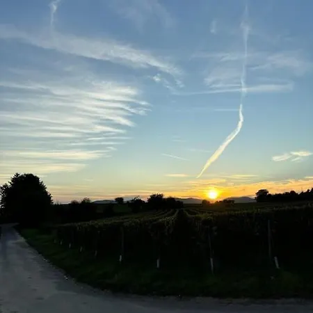 In Der Suedpfalz * Zeiskam