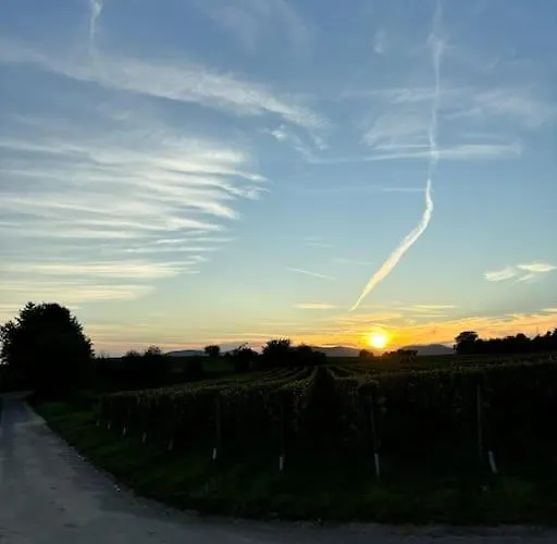 In Der Suedpfalz * Zeiskam